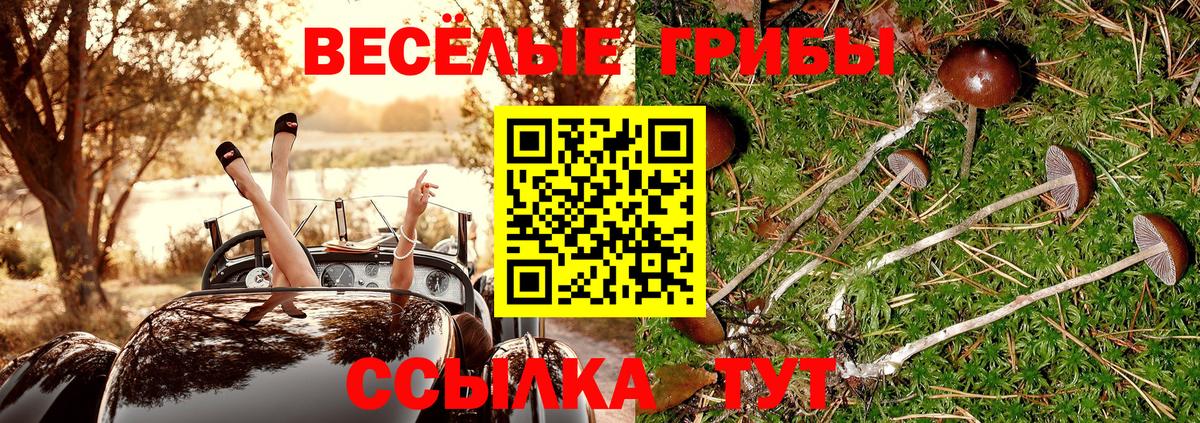 Сочи  купить   Вход с VPN  Галлюциногенные грибы прущие грибы 